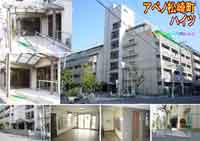 �A�x�m���蒬�n�C�c �O�ώʐ^