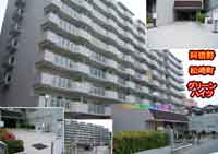 ���{�쏼�蒬�O���[���n�C�c �O�ώʐ^