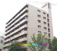 �����v���U��� �O�ώʐ^