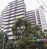 �����v���U���x�� �O�ώʐ^