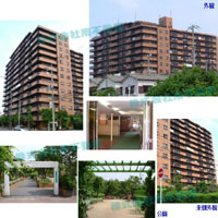 �����v���U�Z�V�]���� �O�ώʐ^