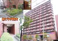 �����v���U���a�� �O�ώʐ^