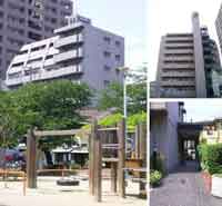 �����v���U�V������ �O�ώʐ^