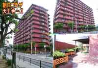 �����v���U�V�����U �O�ώʐ^