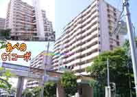 ���ׂ̂b�P�R�[�| �O�ώʐ^