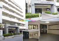 ���{��V�e�B�n�C�c �O�ώʐ^