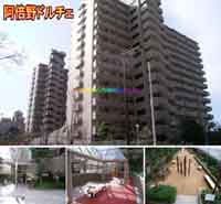 ���ׂ̃h���`�F �O�ώʐ^