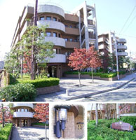 GS�n�C���k�� �O�ώʐ^