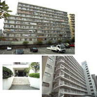 ���g����Q�Z���g�����n�C�c �O�ώʐ^