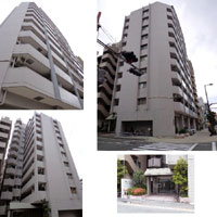 �r�[�o�[�h���`�F�h�[���O���� �O�ώʐ^