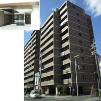 �x���A�[�o�j�e�B����g �O�ώʐ^