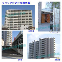 �u�����A�Z�V�]���� �O�ώʐ^