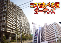 �R�X�����ׂ̍�K�[�f���Y �O�ώʐ^