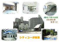 �V�e�B�R�[�|�����Q�� �O�ώʐ^