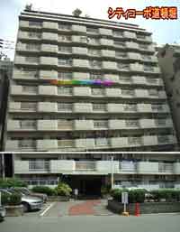 �V�e�B�R�[�|���ږx �O�ώʐ^