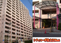 �V�e�B�R�[�|�Z�V�]�v�d�r�s �O�ώʐ^