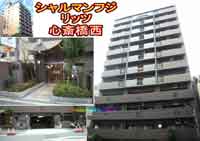 �V�����}���t�W����b�c�S�֋��� �O�ώʐ^