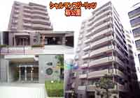 �V�����}���t�W�E���b�c�x���� �O�ώʐ^