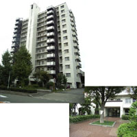 �N���[�o�[�n�C�c�s�� �O�ώʐ^