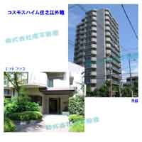 �R�X���X�n�C���Z�V�] �O�ώʐ^