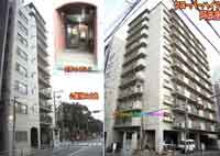 �N���[�o�[�n�C�c���g�� �O�ώʐ^