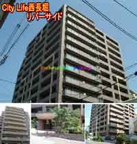 CityLife(�V�e�B���C�t)�����x���o�[�T�C�h �O�ώʐ^