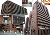 �V�e�k�[�u���g�� �O�ώʐ^