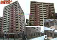 �Z���g�������W�f���X���g���V�e�B�^���[ �O�ώʐ^