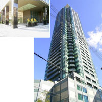 �V�e�B�^���[�O�����V���� �O�ώʐ^