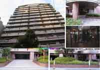 �V���g�[�{�� �O�ώʐ^