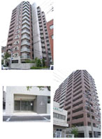 �N���A�V�e�B�吳 �O�ώʐ^