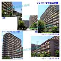 �V�e�B�n�C�c�Z�V�] �O�ώʐ^