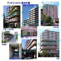 �f�B�I�t�F���e�B���l �O�ώʐ^