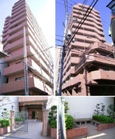 �f�E���[�h���{��ؓ� �O�ώʐ^