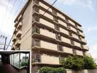 �h���[���쉶���� �O�ώʐ^