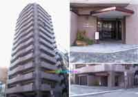 �_�C�A�p���X��x�] �O�ώʐ^