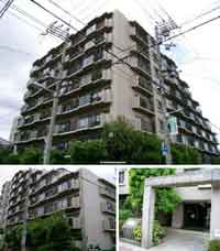 �h���[���R�⒬ �O�ώʐ^