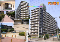 �h���~��c �O�ώʐ^