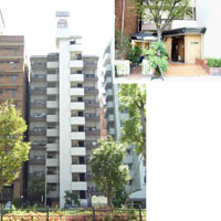 �h���[���k�x�] �O�ώʐ^