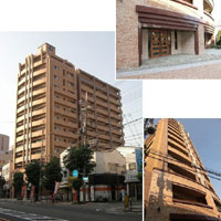 �G�X�e���R�[�g���{��R���t�H���g �O�ώʐ^