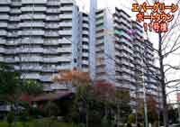 �G�o�[�O���[���|�[�g�^�E��11���� �O�ώʐ^