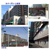 �G�o�[�O���[���Z�g �O�ώʐ^