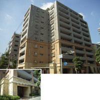 �G�X���[�h������ �O�ώʐ^