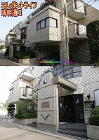 �G���K���g���C�t�����u�U �O�ώʐ^