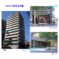 �G�X���[�h�Z�V�]���� �O�ώʐ^