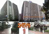 �G���x�����C����16 �O�ώʐ^