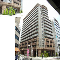 �G�X���[�h���{�� �O�ώʐ^