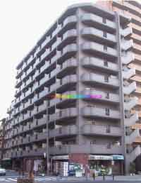 �G�X�|�A�[���]�˖x �O�ώʐ^