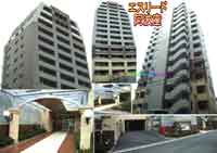 �G�X���[�h���g�� �O�ώʐ^