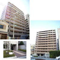 �t�F�A�R�[�g������ �O�ώʐ^